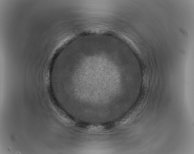 X0000111660403200907311142