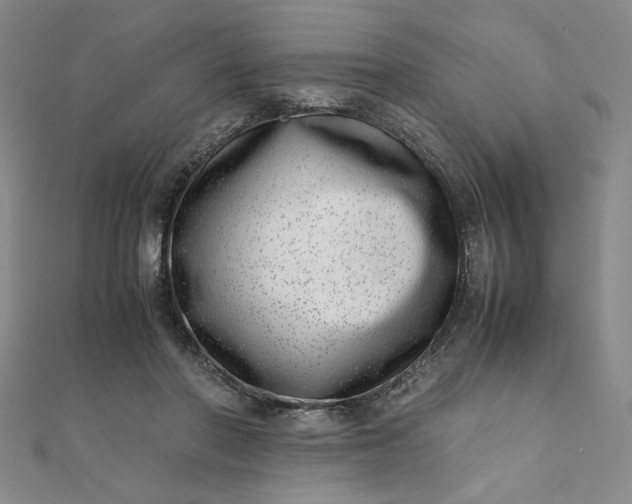 X0000111660406200907311142