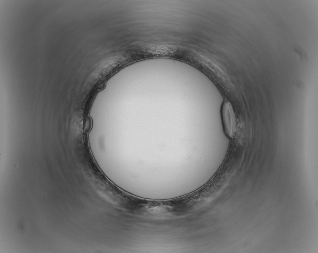 X0000111660407200907311142