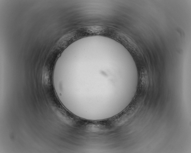 X0000111660408200907311142