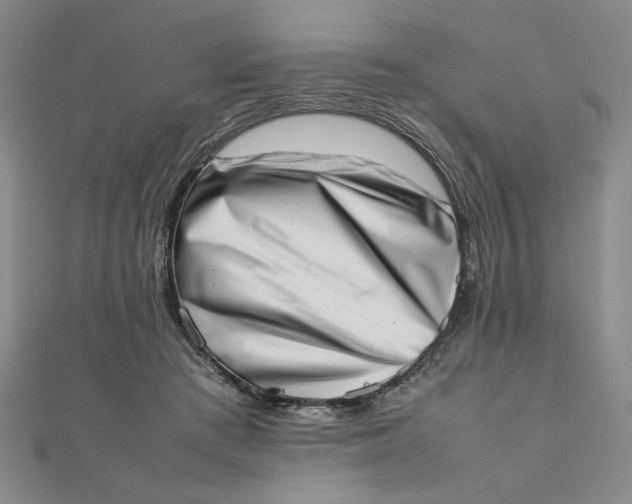 X0000111660409200907311142