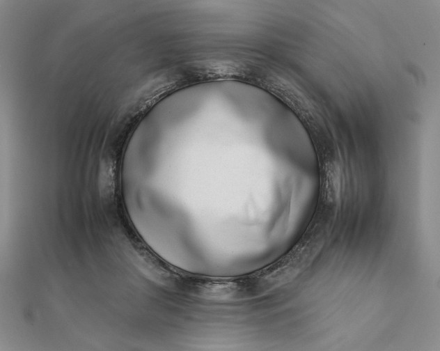 X0000111660410200907311142