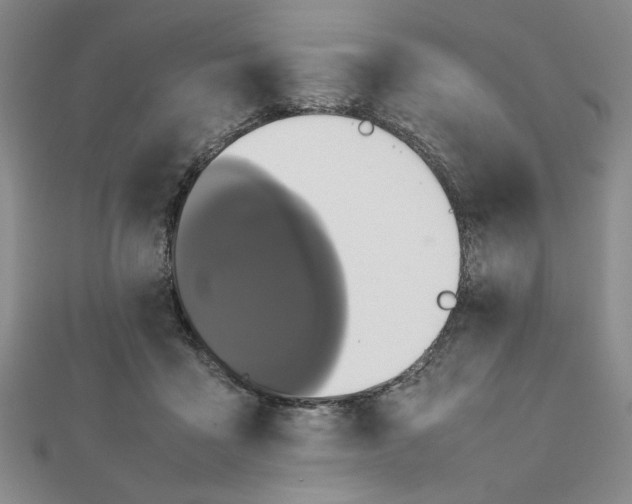 X0000111660411200907311142