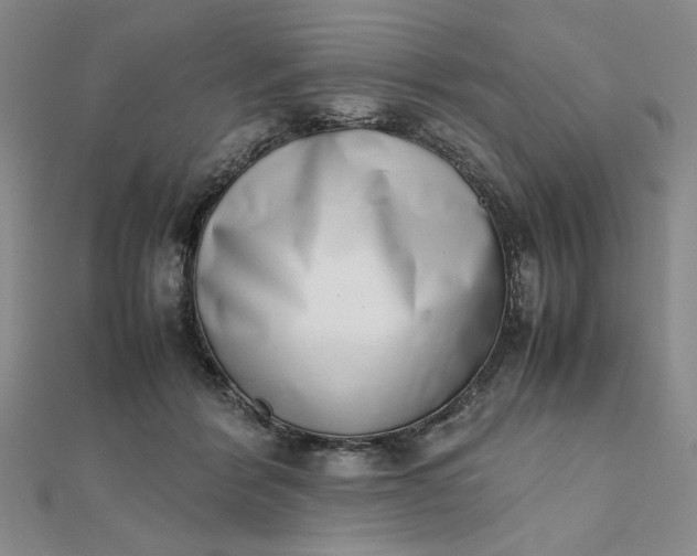 X0000111660412200907311142