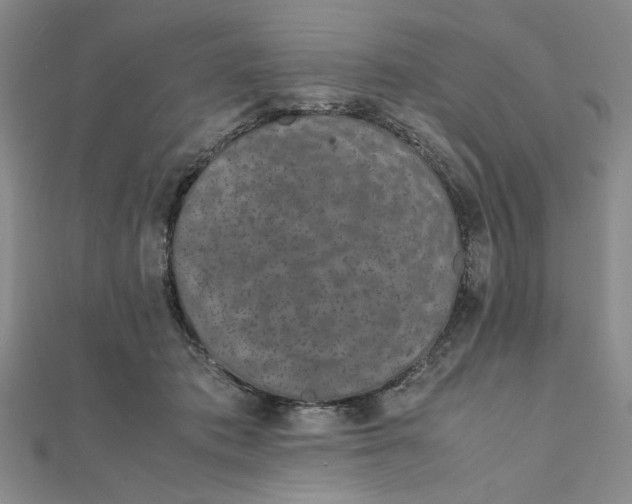 X0000111660413200907311142