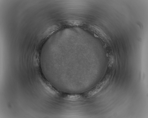 X0000111660414200907311142