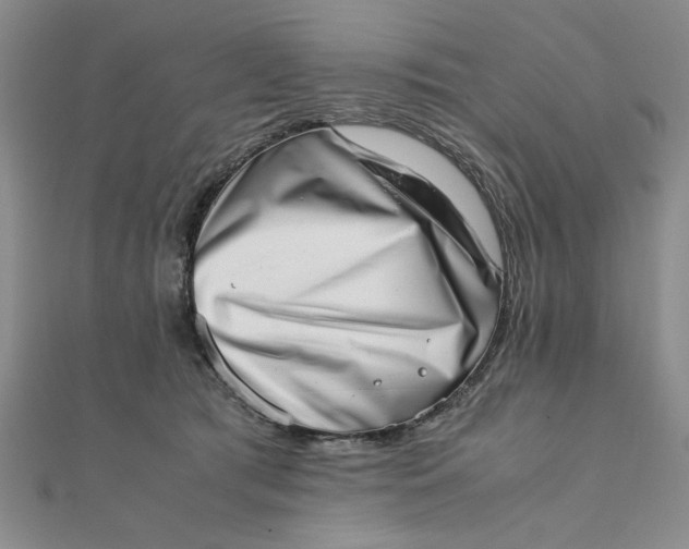 X0000111660417200907311142