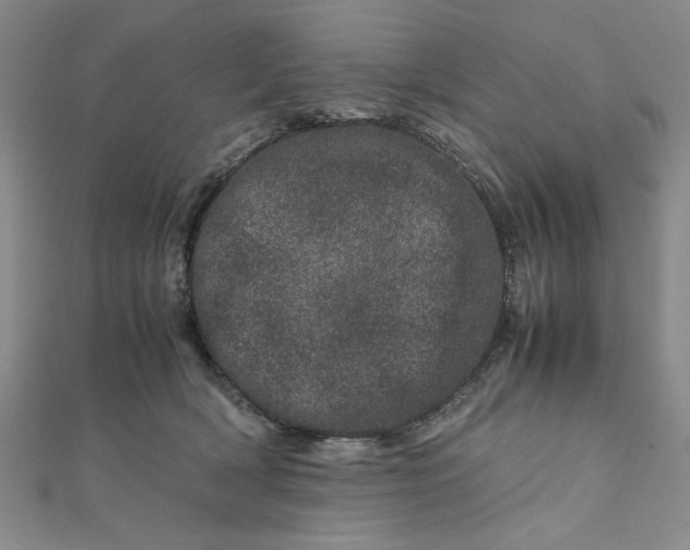 X0000111660418200907311142