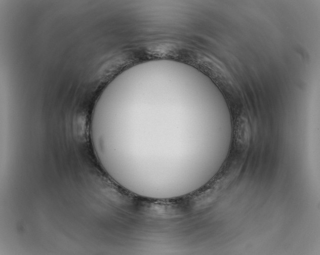 X0000111660420200907311142