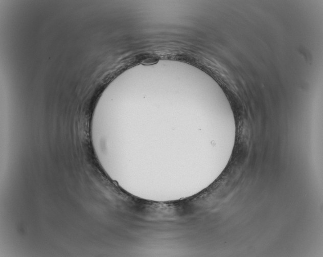 X0000111660421200907311142