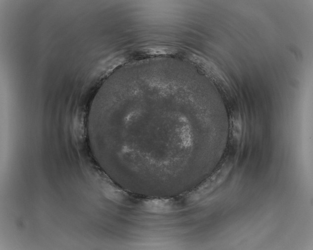 X0000111660422200907311142