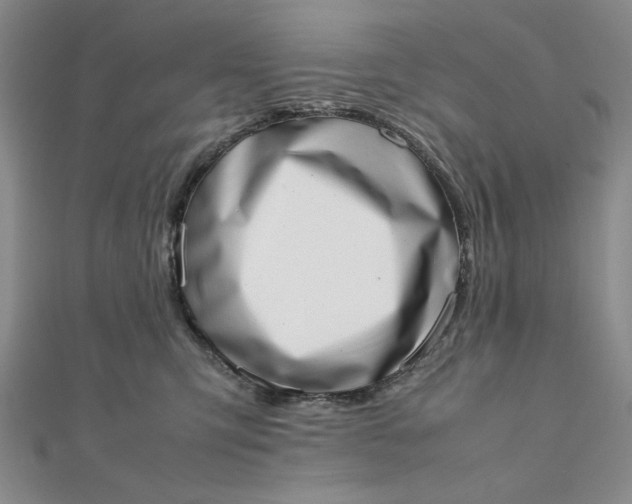 X0000111660423200907311142