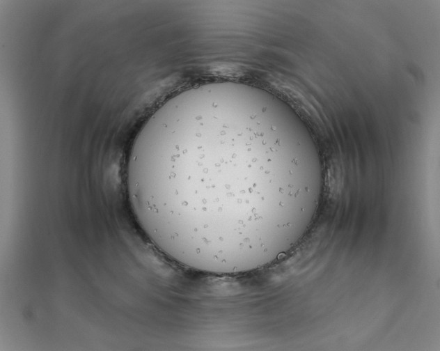 X0000111660424200907311142