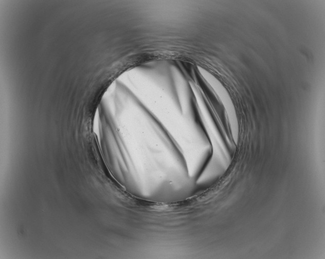 X0000111660425200907311142