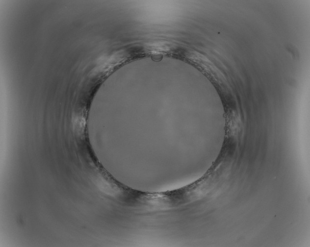 X0000111660427200907311142