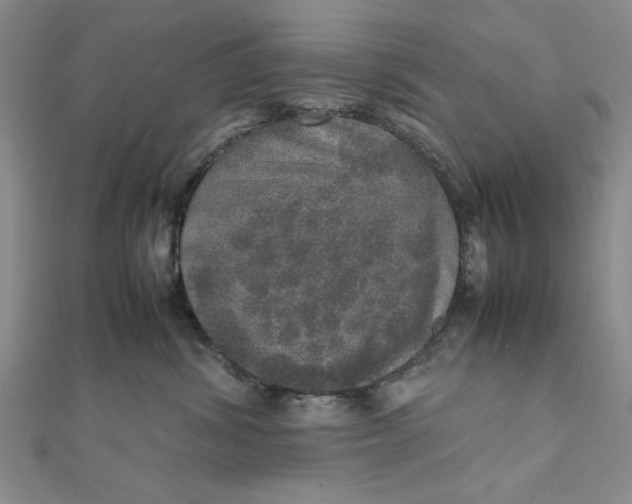 X0000111660428200907311142