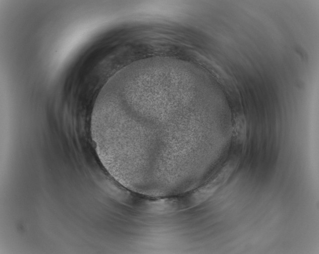 X0000111660430200907311142