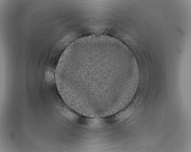 X0000111660432200907311142