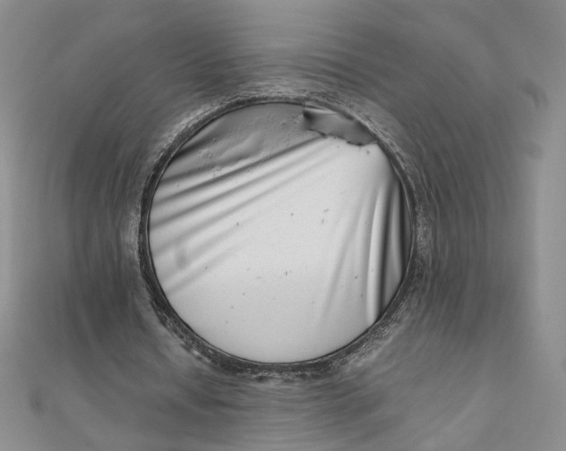 X0000111660434200907311141