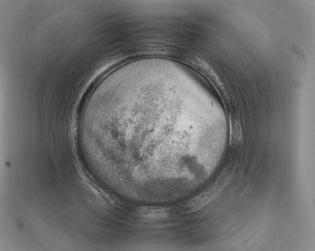 X0000111660435200907311141