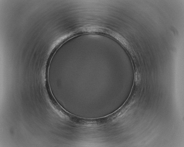 X0000111660438200907311141