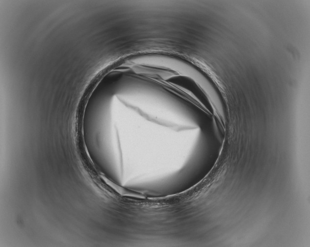 X0000111660439200907311141