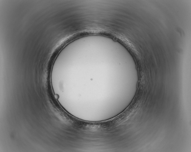 X0000111660440200907311141