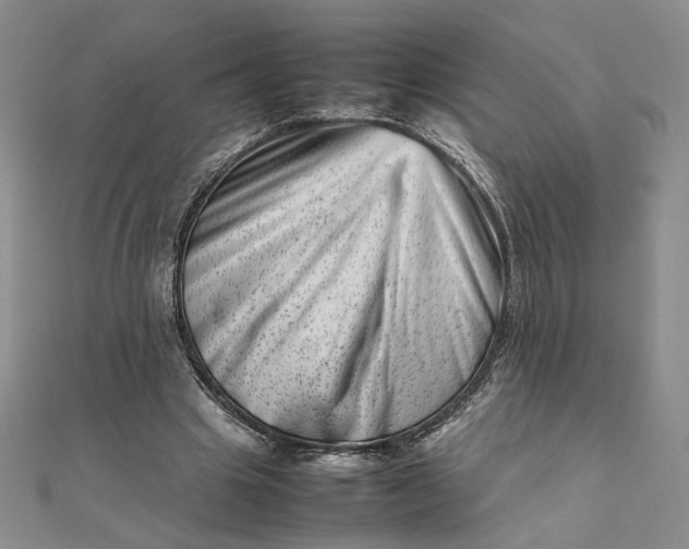 X0000111660441200907311141