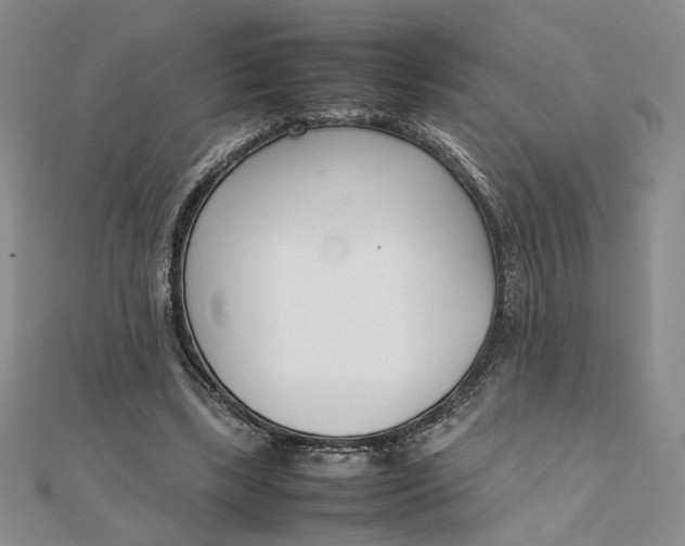 X0000111660443200907311141