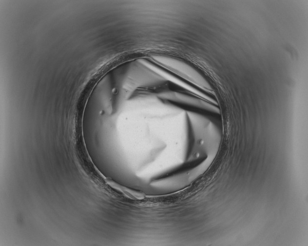 X0000111660444200907311141