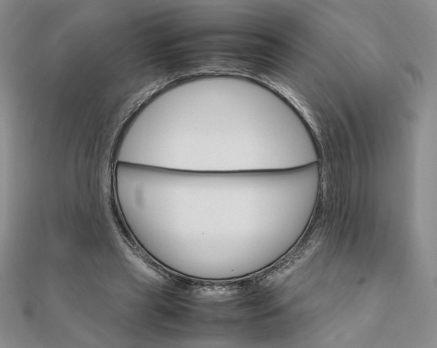 X0000111660445200907311141