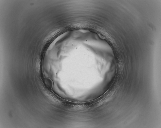 X0000111660446200907311141