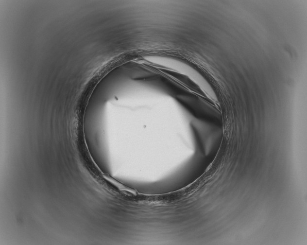 X0000111660448200907311141