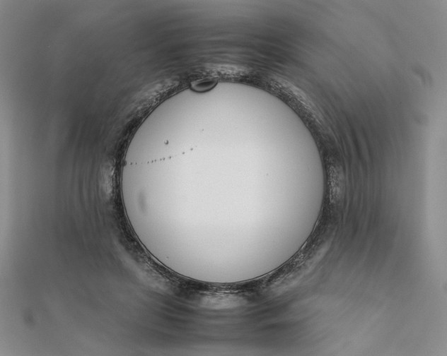 X0000111660451200907311141