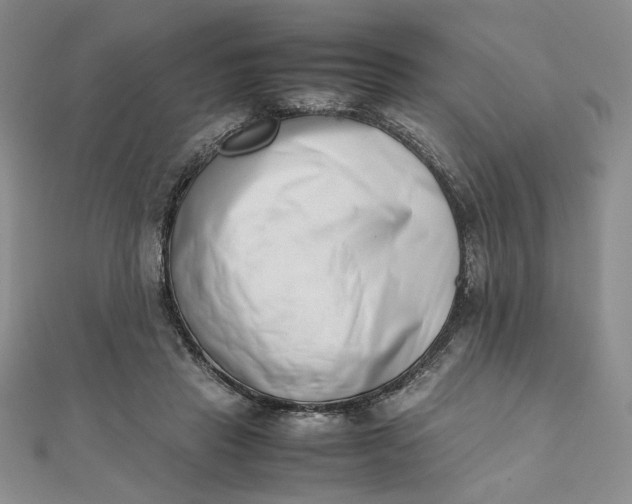 X0000111660453200907311141