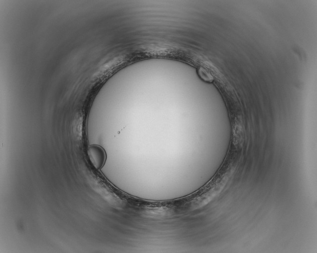 X0000111660454200907311141