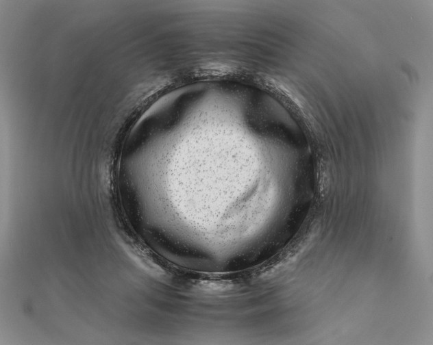 X0000111660455200907311141