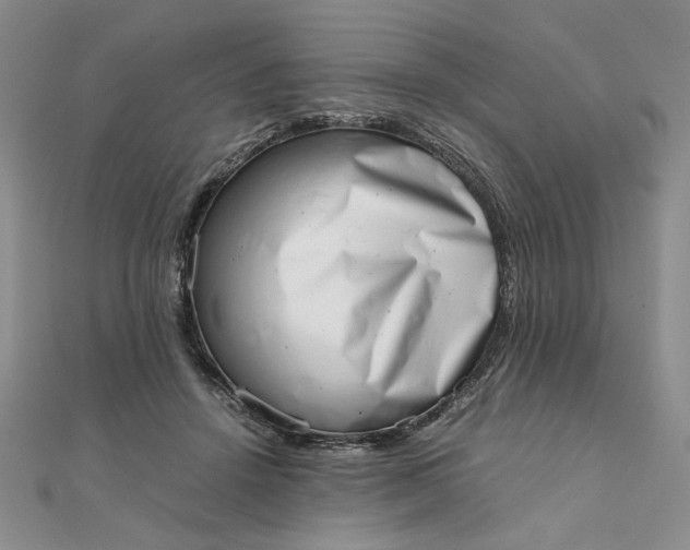 X0000111660456200907311141