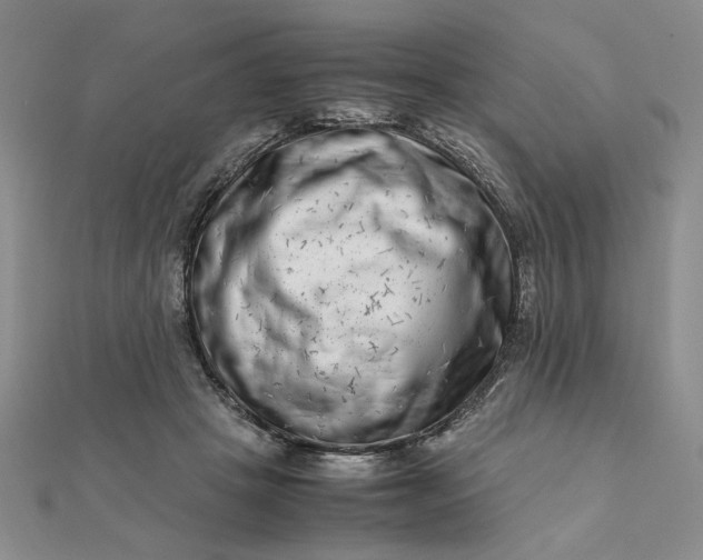 X0000111660457200907311141