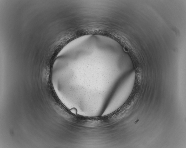 X0000111660458200907311141