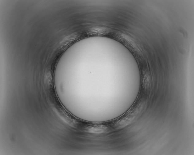 X0000111660459200907311141