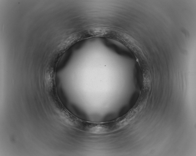 X0000111660460200907311141