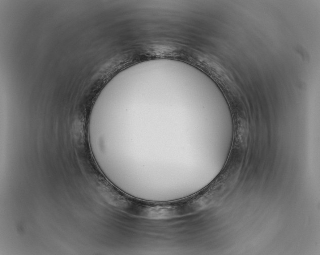 X0000111660461200907311141