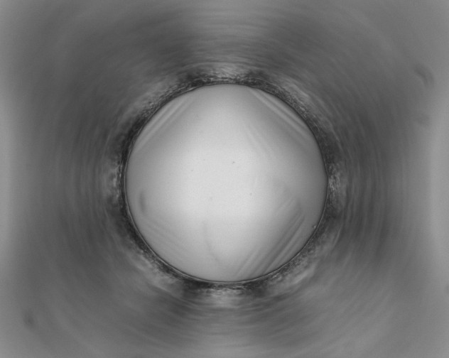 X0000111660462200907311141