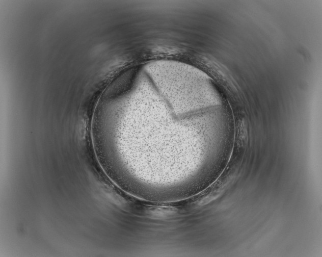 X0000111660463200907311141