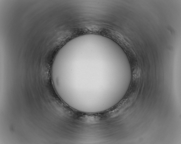 X0000111660464200907311141