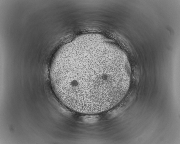 X0000111660465200907311141