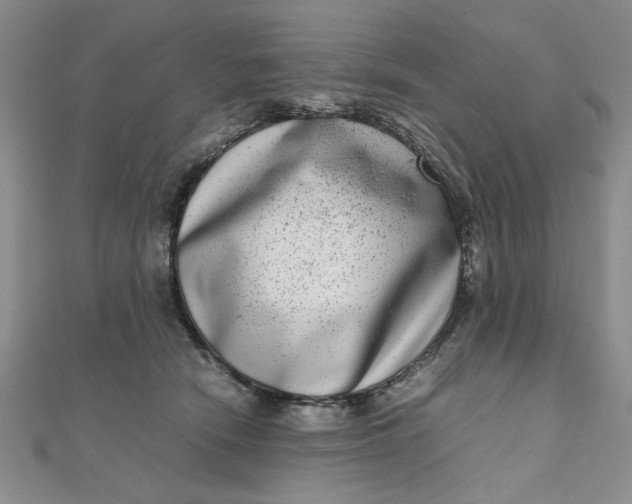 X0000111660466200907311141