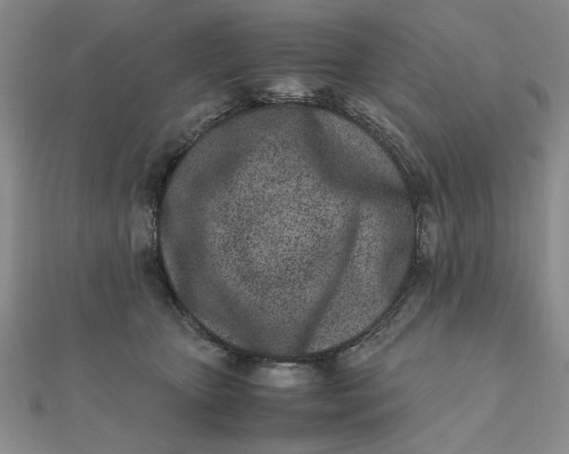 X0000111660467200907311141