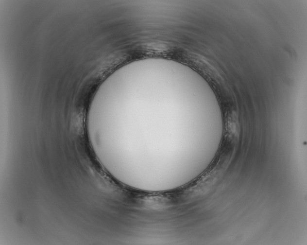 X0000111660468200907311141